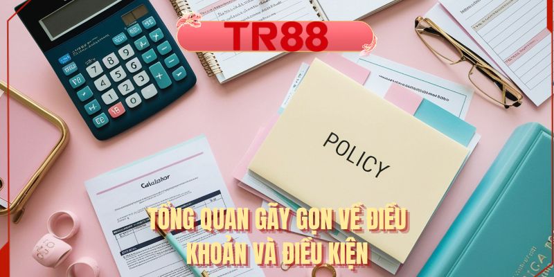 Tổng quan gãy gọn về điều khoản và điều kiện